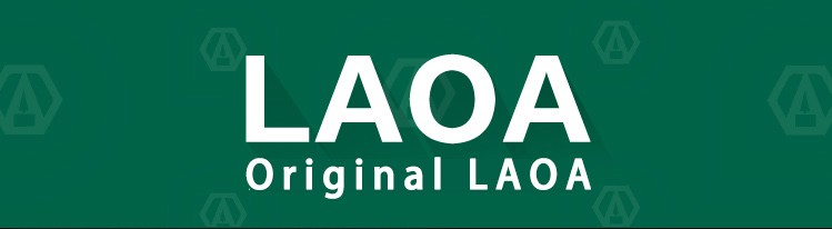 LAOA 8-27mm 오픈 엔드 래칫 렌치 조합 래칫 소켓 스패너 범용 키 자전거 자동차 수리 수공구