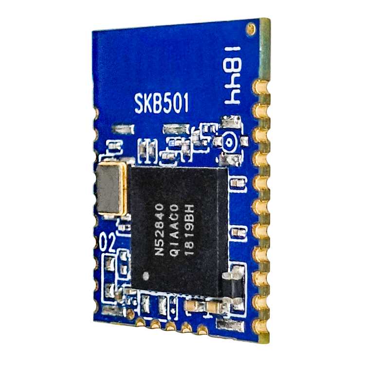통신 무선 북유럽 nRF52840 ble 5.0 칩 모듈 물 미터 의료 장비 SKB501 [SKYLAB-39]