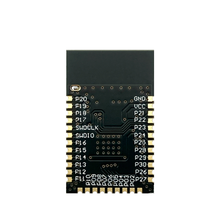 Holyiot-21033-nRF52832 BLE 5.3 저에너지 스마트 게임 의료 웨어러블 피트니스 IOT 모듈 블루 치아 북유럽 모듈 [HOLYIOT-09]