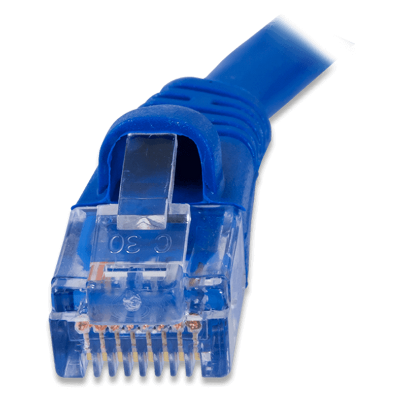 10피트 Cat5e 이더넷 케이블 [DGLT-310-011]