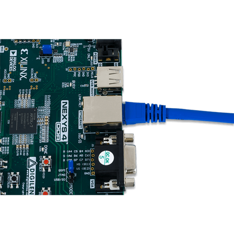 10피트 Cat5e 이더넷 케이블 [DGLT-310-011]