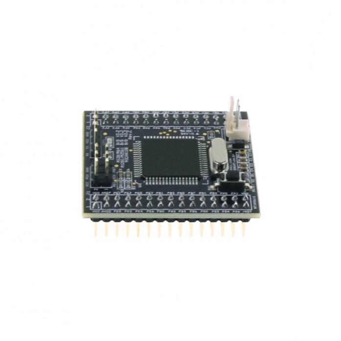 CAN128 V2.2 (16MHz/DC5V용) AT90CAN128 모듈 (NER-2300)